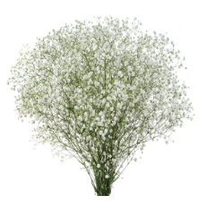 Captura de pantalla 2025-05-18 164513