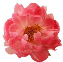 Captura de pantalla 2025-05-18 173517