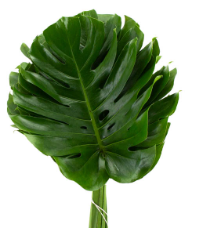 Captura de pantalla 2025-05-25 162319