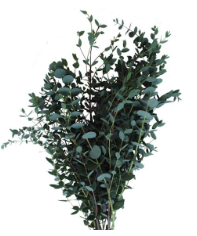 Captura de pantalla 2025-05-25 164203