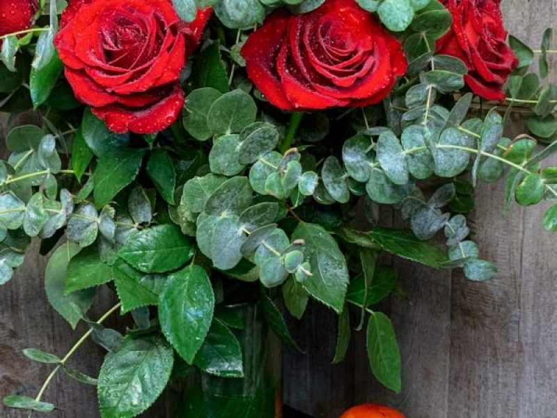 cesta-con-flores-y-frutas-a-domicilio-madrid-FJ-2022-78-600x900